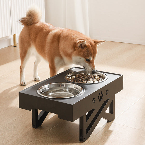 Adjustable Height Pet Feeder