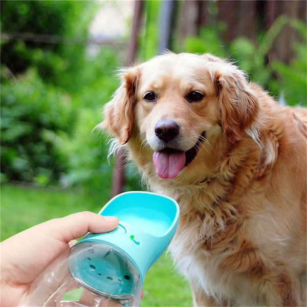 Portable Pet Water Dispenser