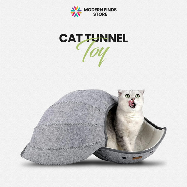 Cat Tunnel Toy