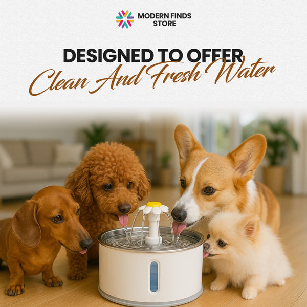 Pet USB Drinking Dispenser